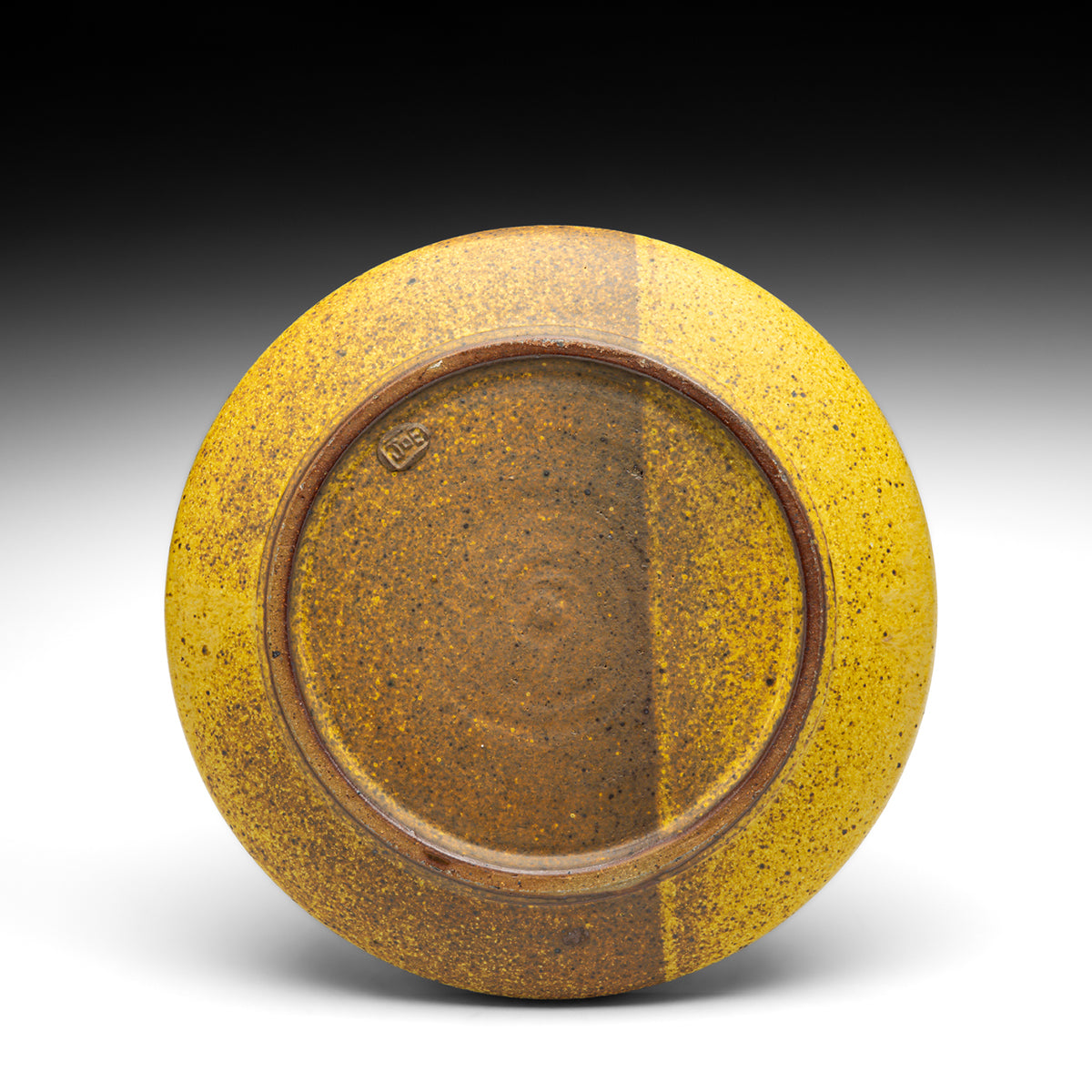 Dinner Plate