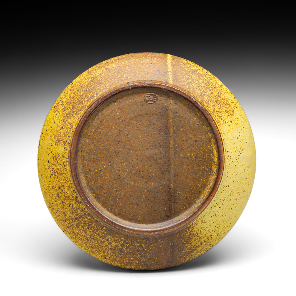 Dinner Plate