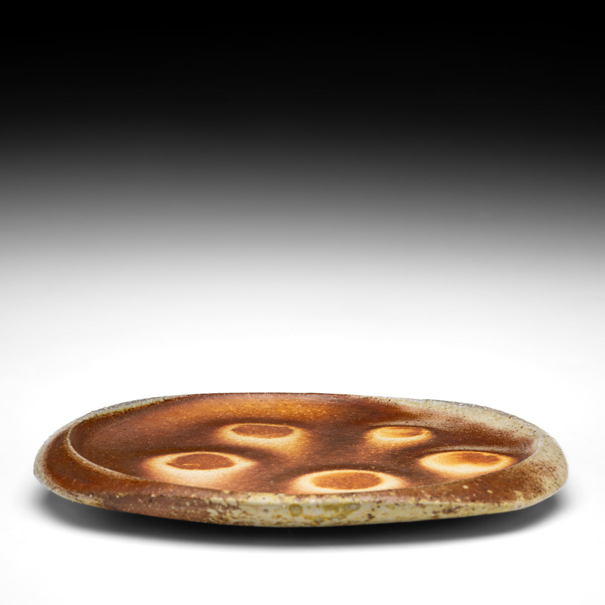 Dinner Plate
