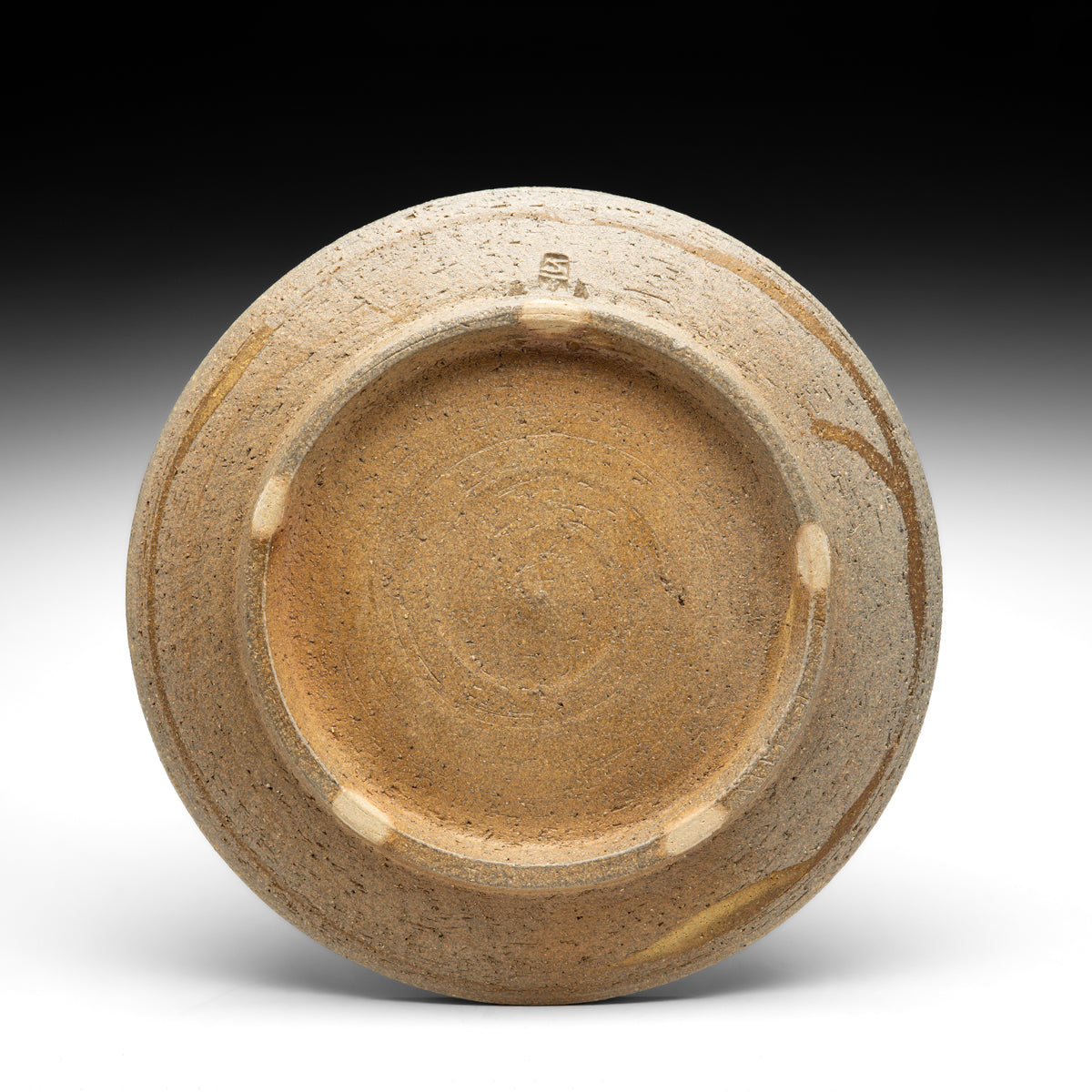 Dinner Plate