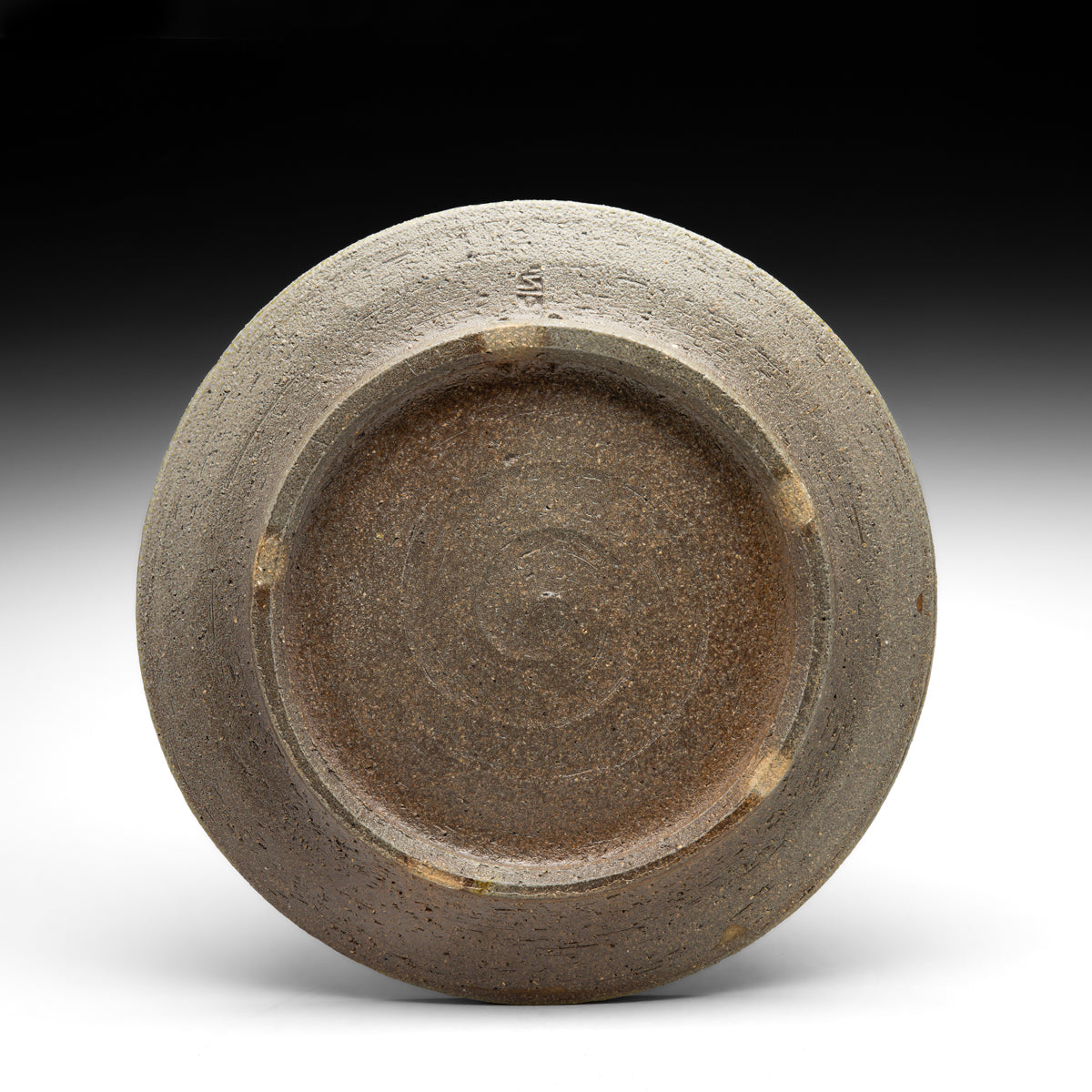 Dinner Plate