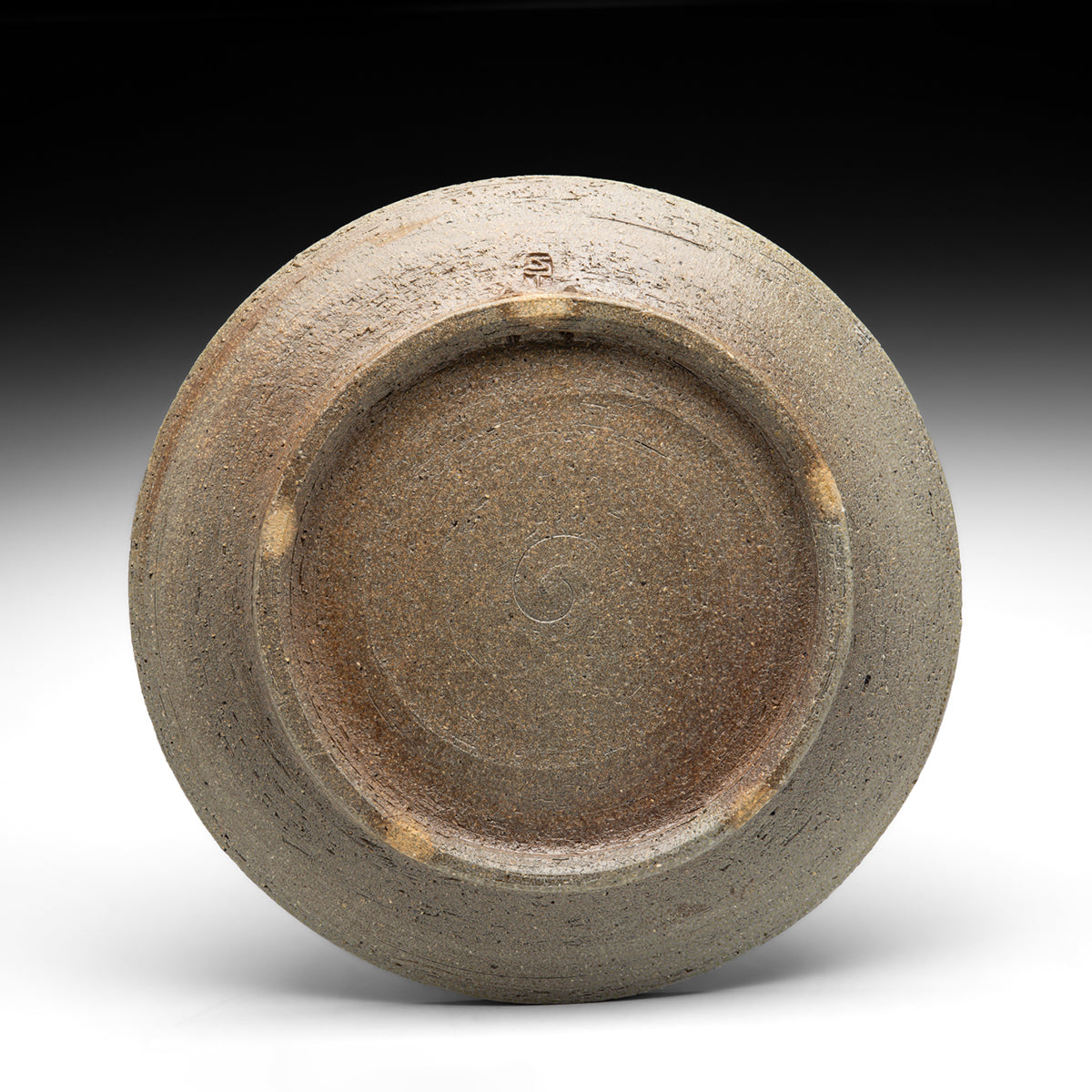Dinner Plate