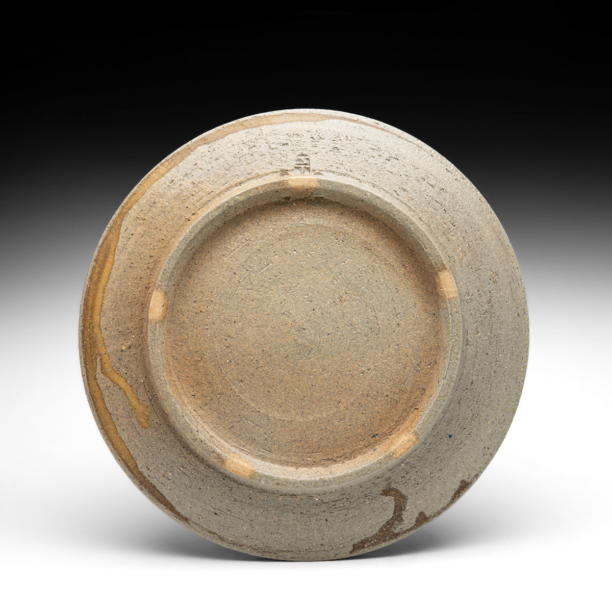 Dinner Plate