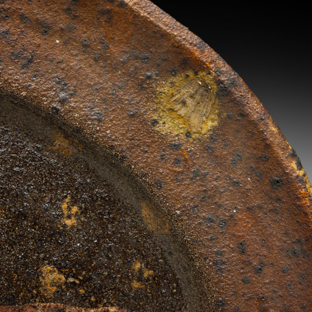 Oval Platter
