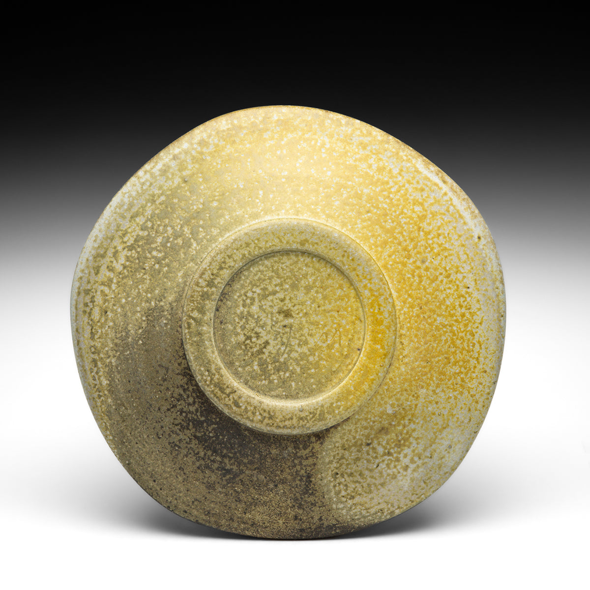 Dinner Plate