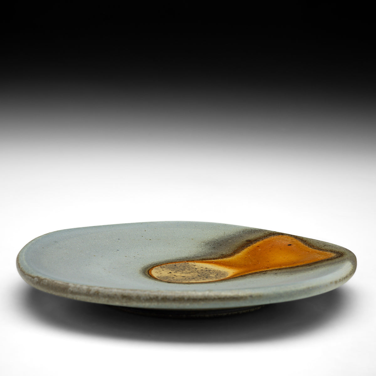 Lunch Plate